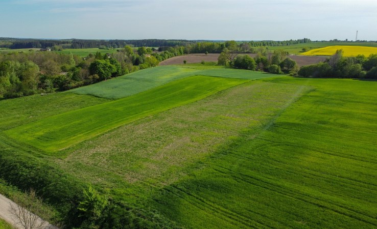 działka na sprzedaż - Lidzbark Warmiński (gw), Drwęca
