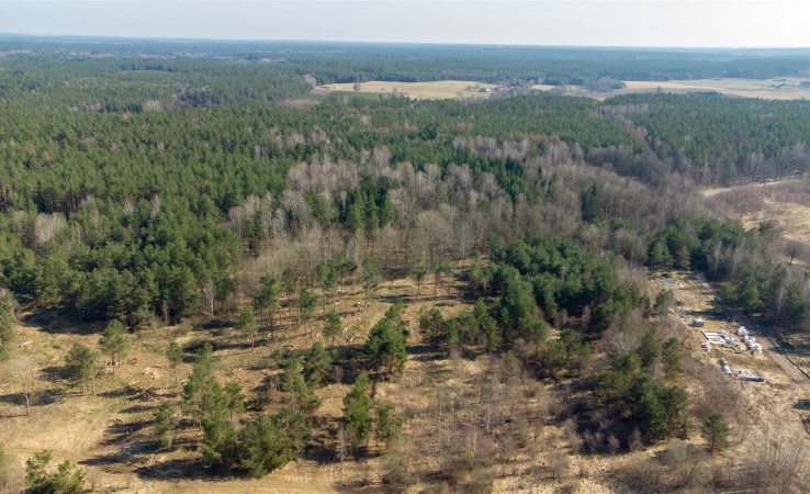 działka na sprzedaż - Olsztynek (gw), Elgnówko