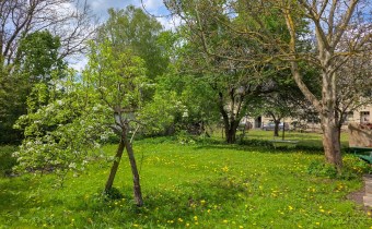 Ogród z drzewami owocowymi – połowa domu na sprzed