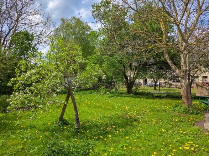 Ogród z drzewami owocowymi – połowa domu na sprzed