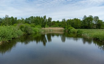 Działka Kotkowo gmina Łukta – stawy na terenie nie