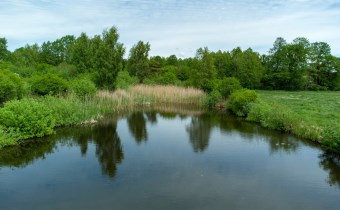 Staw na działce Kotkowo – prywatny zbiornik wodny,