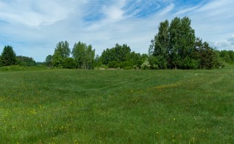 Teren budowlany działki Kotkowo – zielona łąka, la