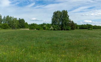 Grunt rekreacyjny Kotkowo gm. Łukta – teren pod za