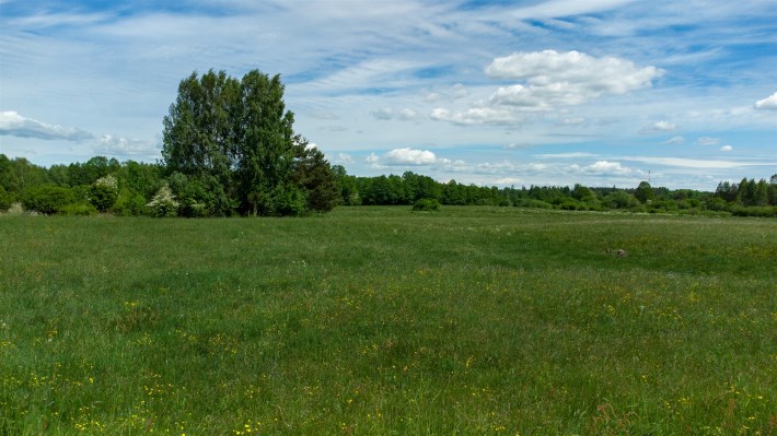 Działka Kotkowo – teren budowlany, brzozy i sosny 