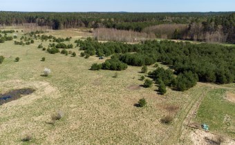 Widok na  lasy z okolic działki Gierłoż, Park Kraj