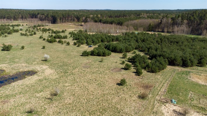 Widok na  lasy z okolic działki Gierłoż, Park Kraj