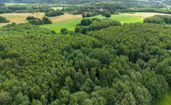 Panorama działki 6,02 ha w Nowych Mieczysławach, g