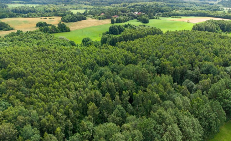 działka na sprzedaż - Miłakowo (gw), Nowe Mieczysławy