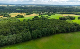 Zabudowania gospodarskie w pobliżu działki z warun