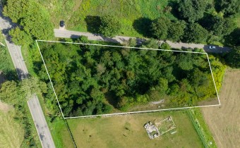 Zadrzewiona działka na sprzedaż w Głotowie, Warmia