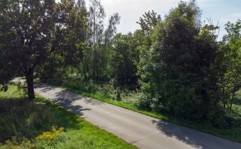 Droga dojazdowa do działki na sprzedaż na Warmii i